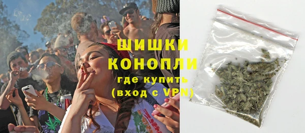 гидра Абаза