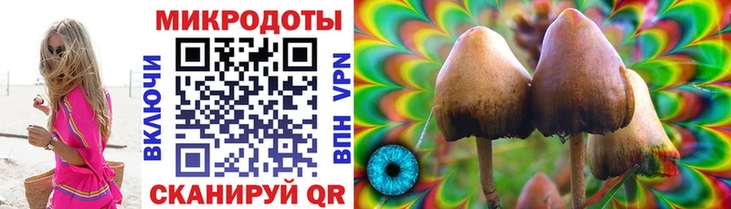 Псилоцибиновые грибы мухоморы  наркотики  Ясный 